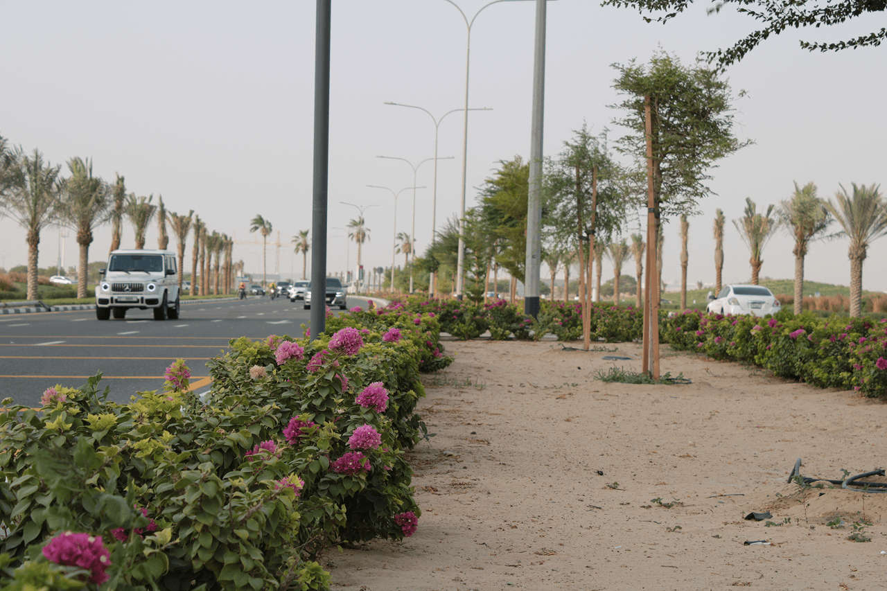 Landscape Development Works Dubai Silicon Oasis